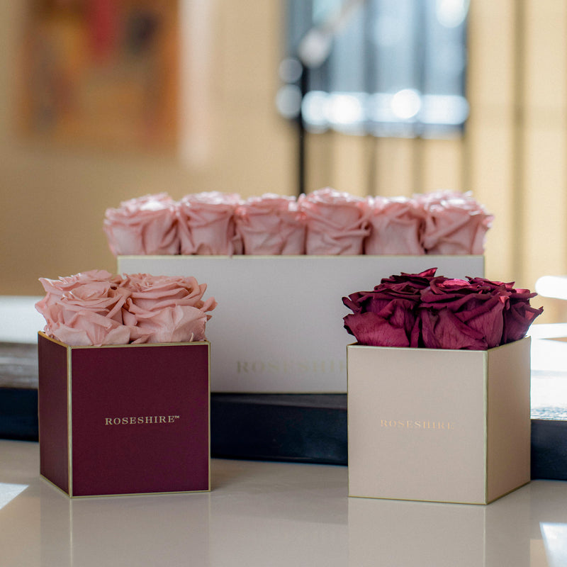 RoseShire Petals - Luxury Petals in a Box