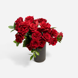 JustRoses-Red-2