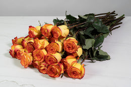 JustRoses-YellowOmbre-2