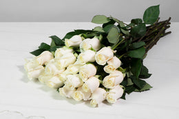 JustRoses-Ivory-2