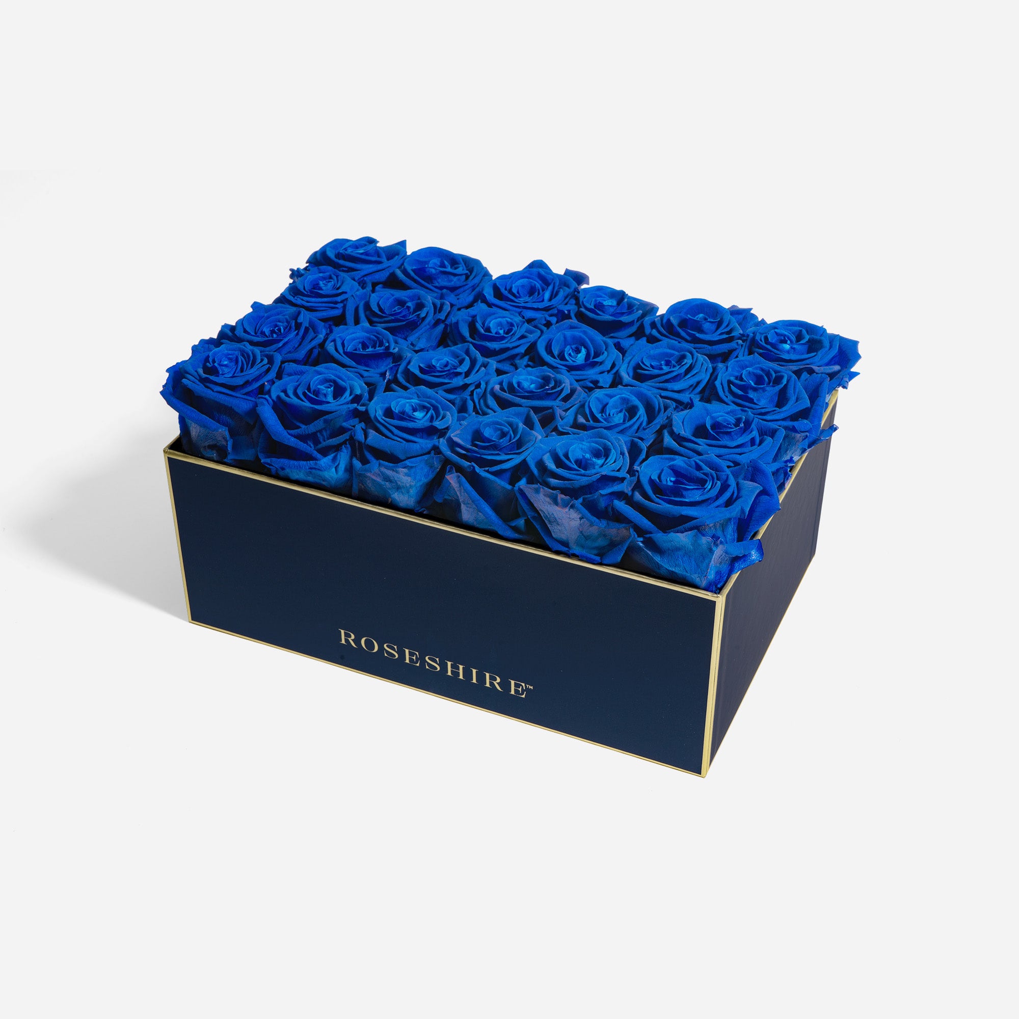 Iconic 24 Rose - Navy