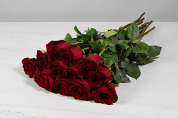 JustRoses-Red-1