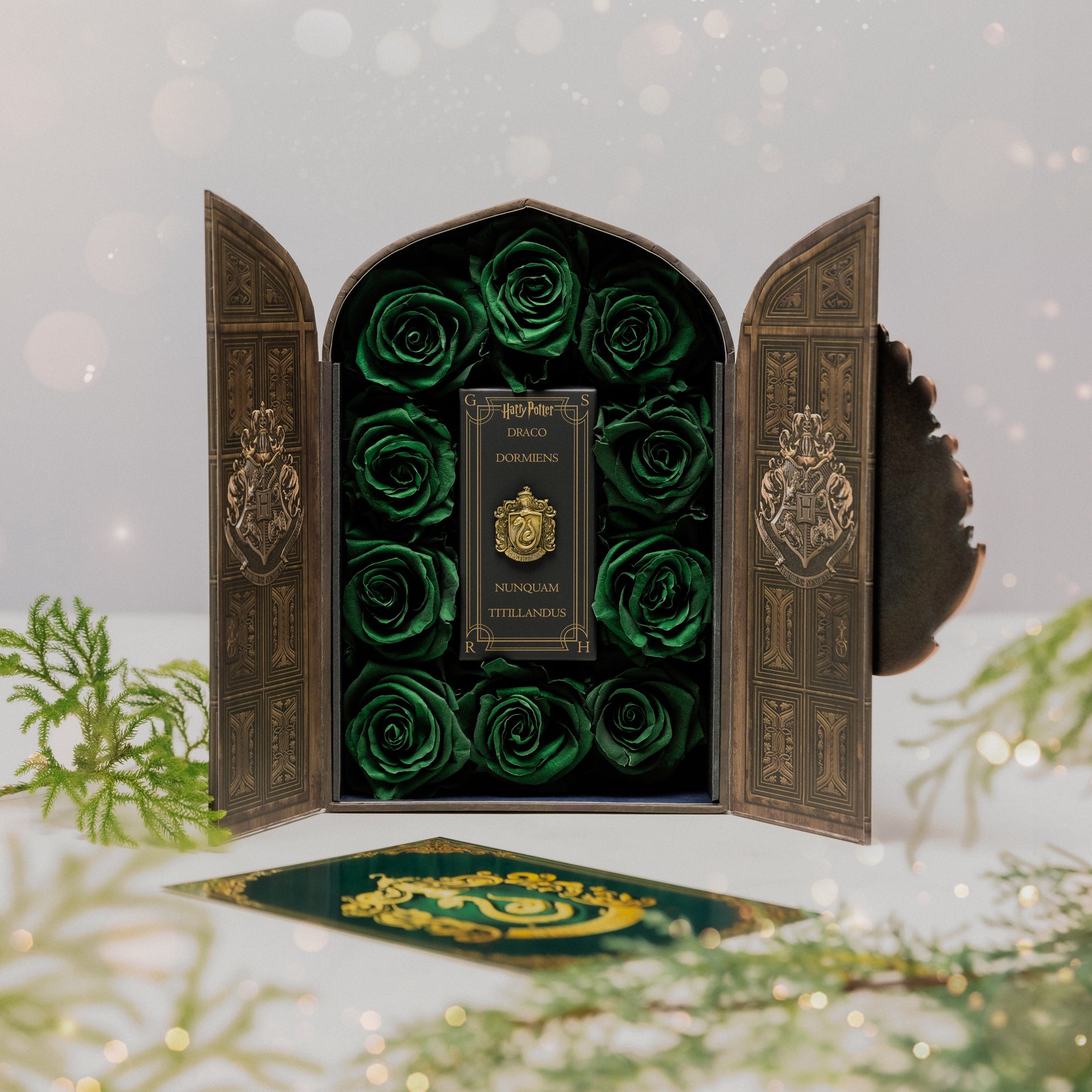  Harry Potter Slytherin House LookSee Box